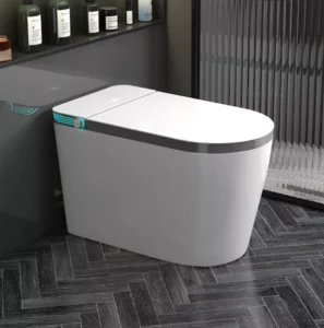 A modern, sleek smart toilet from TR Faucet glowing in a luxury bathroom, showcasing must-have features for 2026.