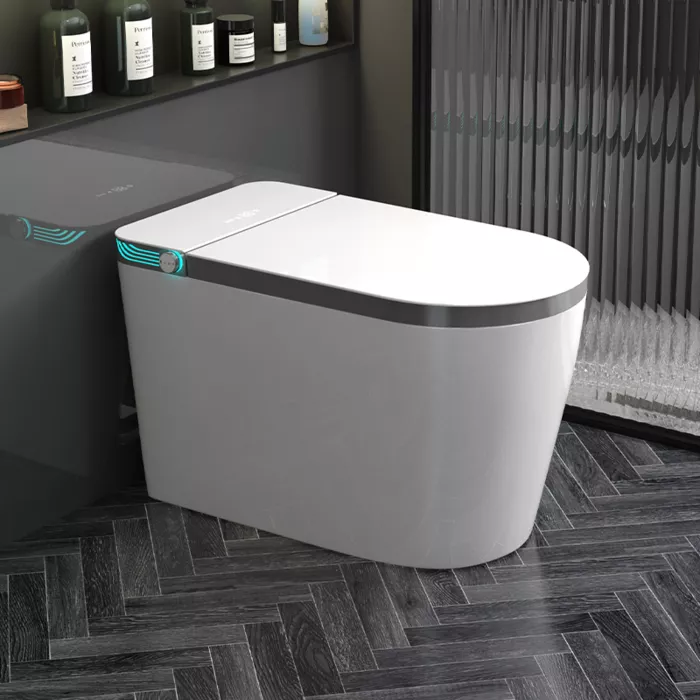 ST-5602 Smart Toilet